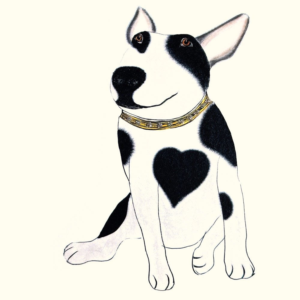 Bull Terrier English Graphics