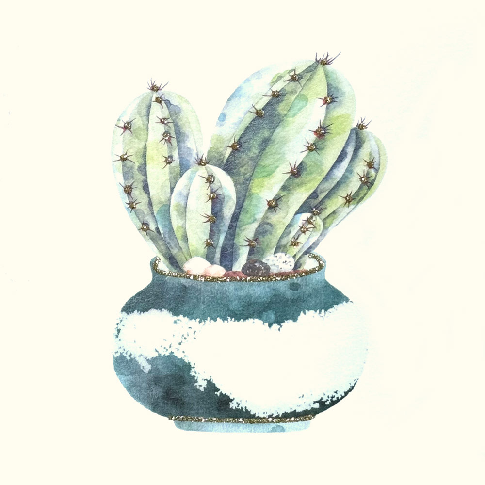 Cactus English Graphics