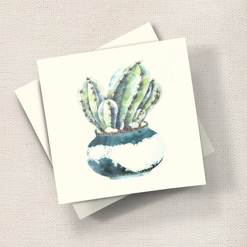 Cactus