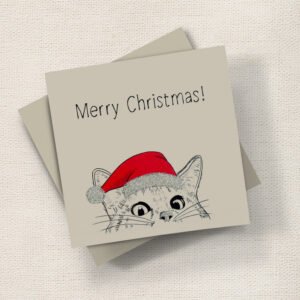 Cat With Hat (Christmas)