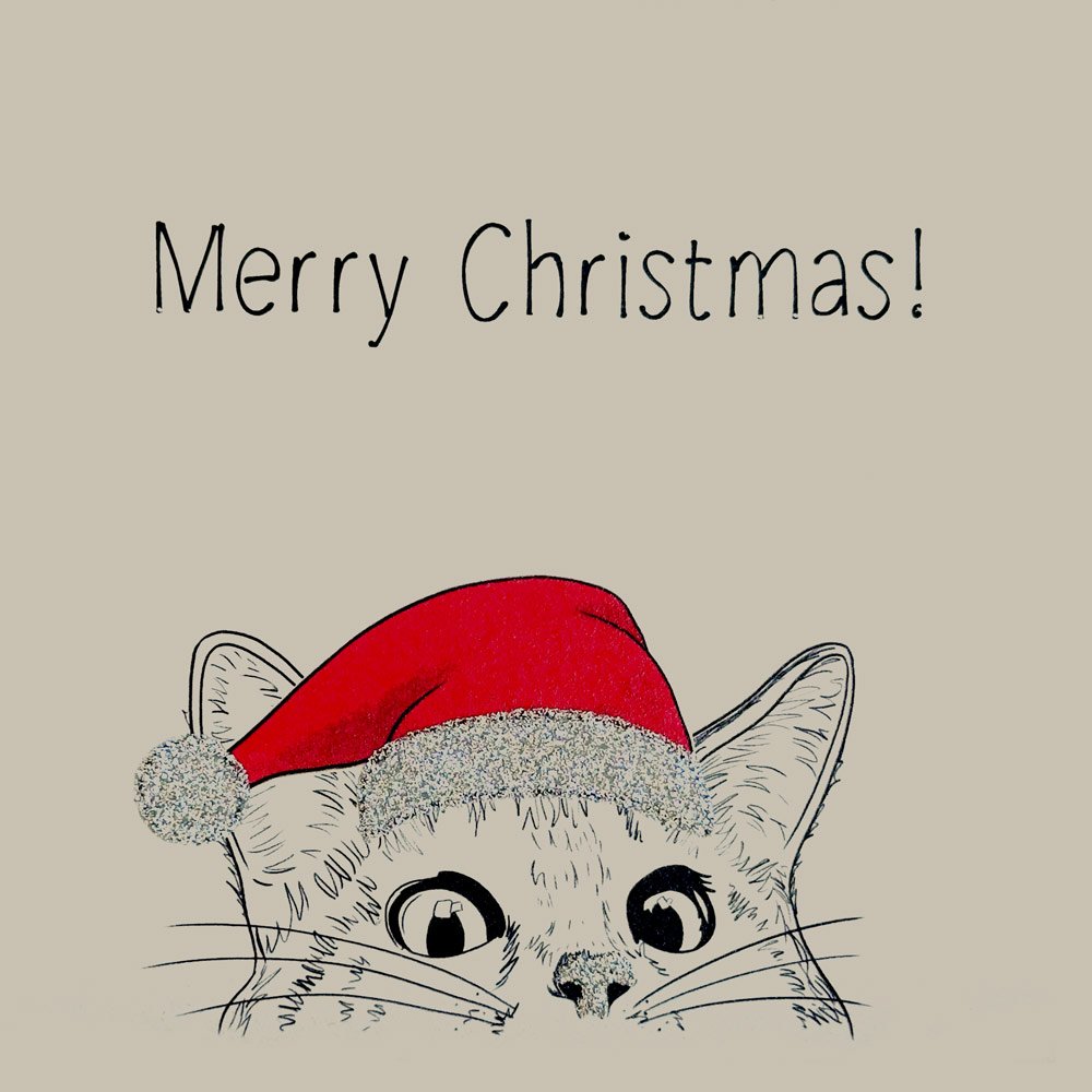 Cat With Hat (Christmas) English Graphics