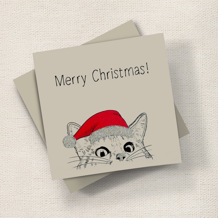 Cat With Hat (Christmas)
