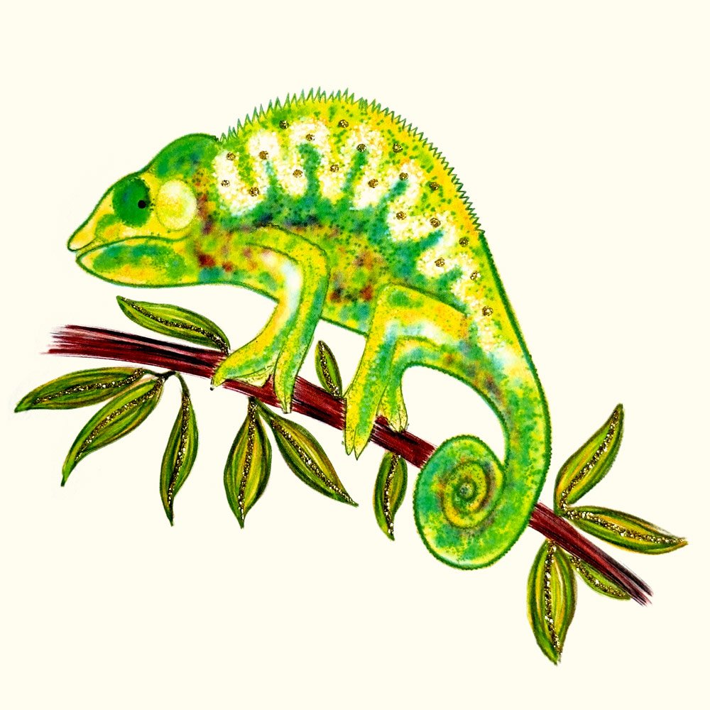 Chameleon English Graphics