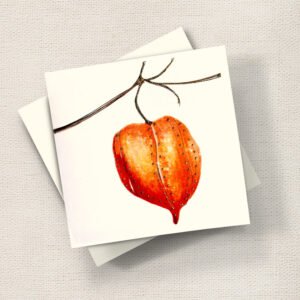 Chinese Lantern Flower