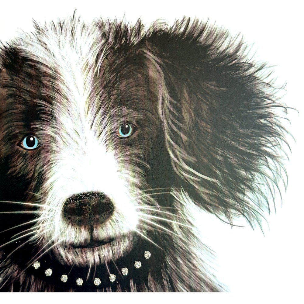 Collie Puppy English Graphics