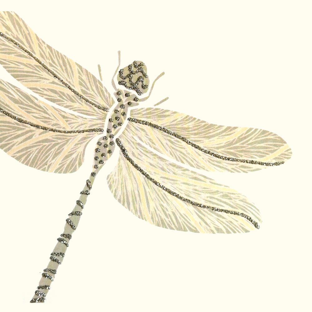 Dragonfly English Graphics