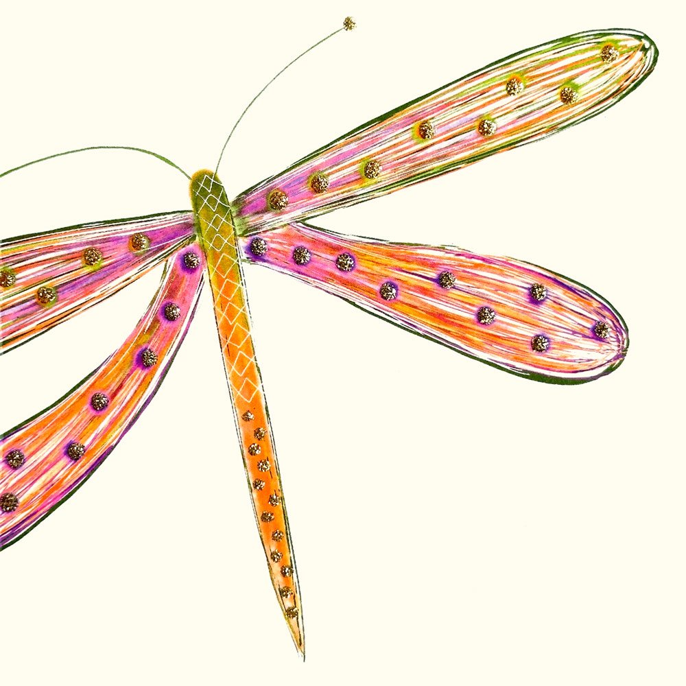 Dragonfly (Pink / Orange) English Graphics