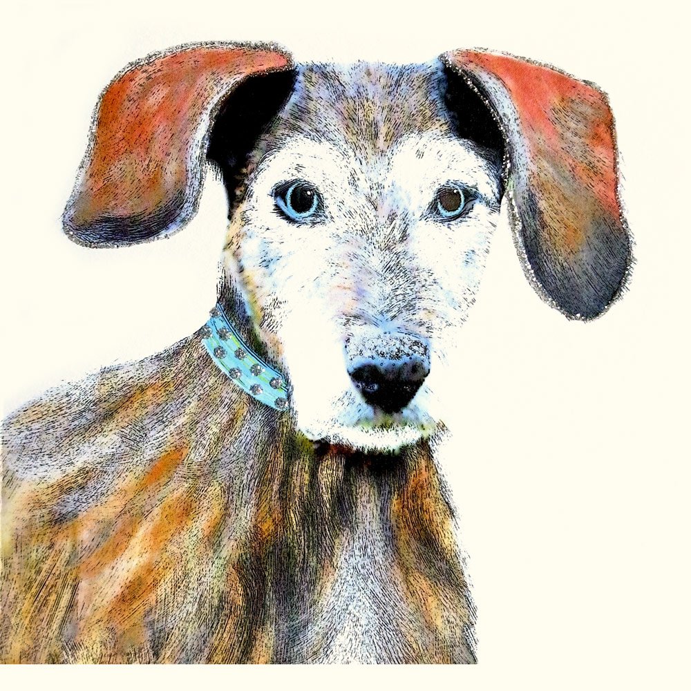 Elderly Dog English Graphics