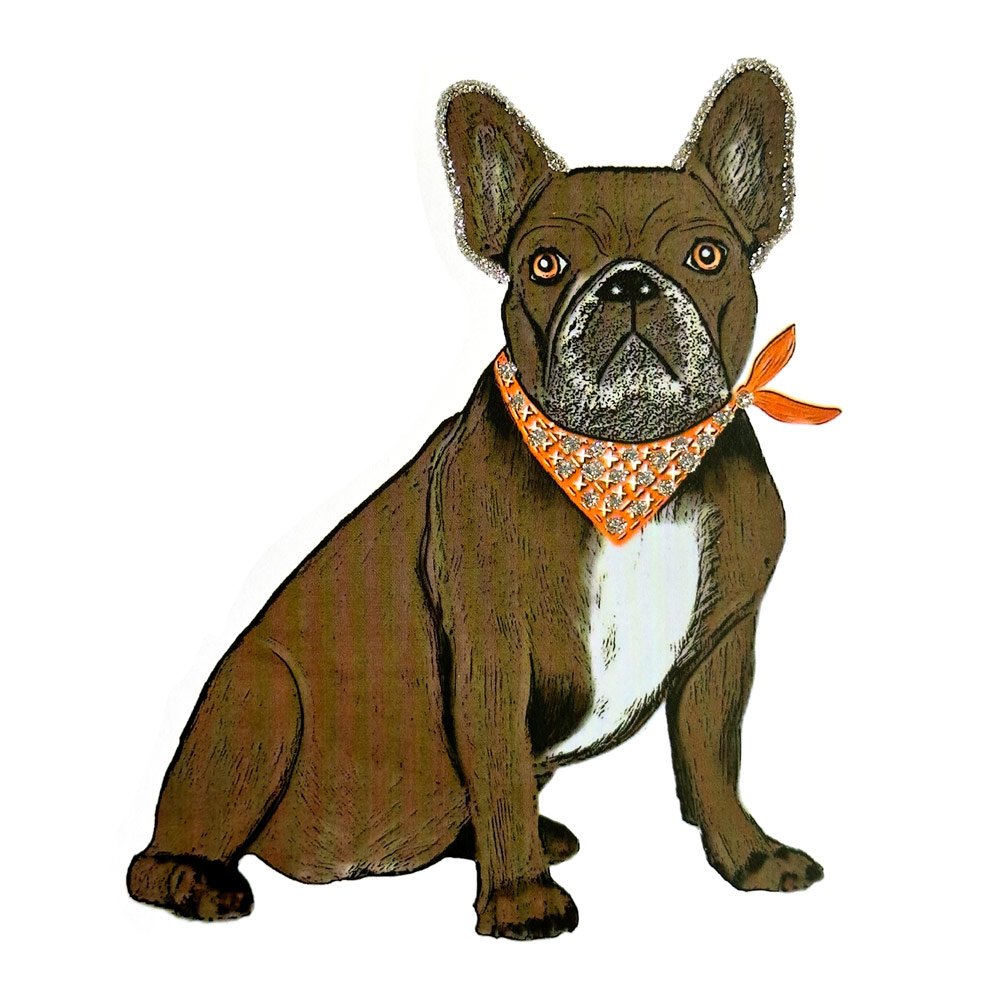 French Bulldog English Graphics