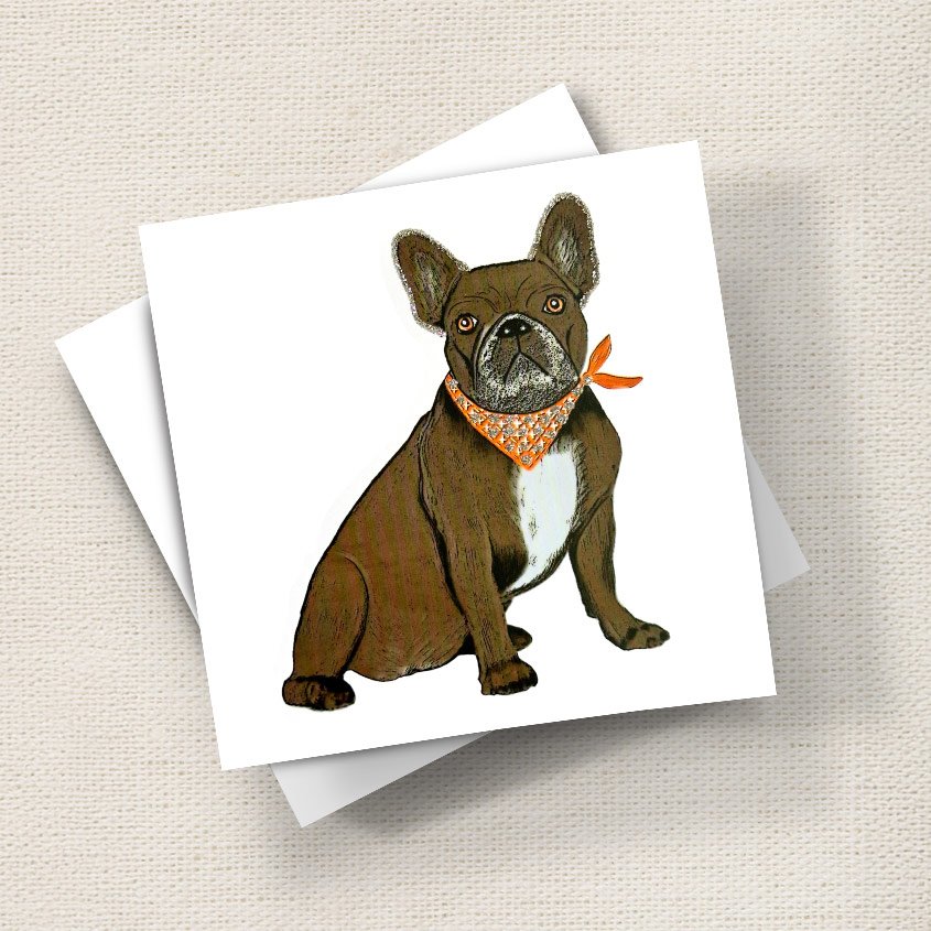 French Bulldog