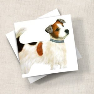 Jack Russell
