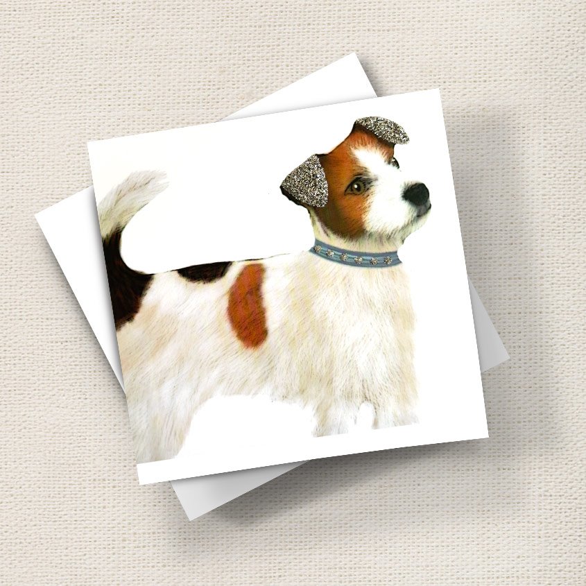 Jack Russell
