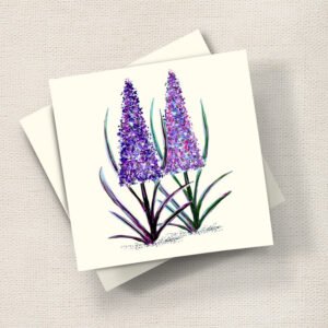 Pink Lupins