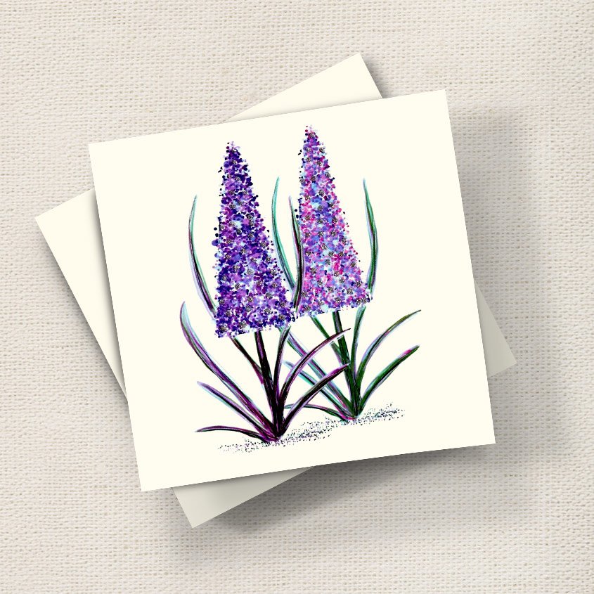 Pink Lupins