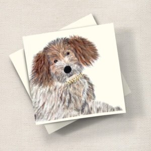 Poodle