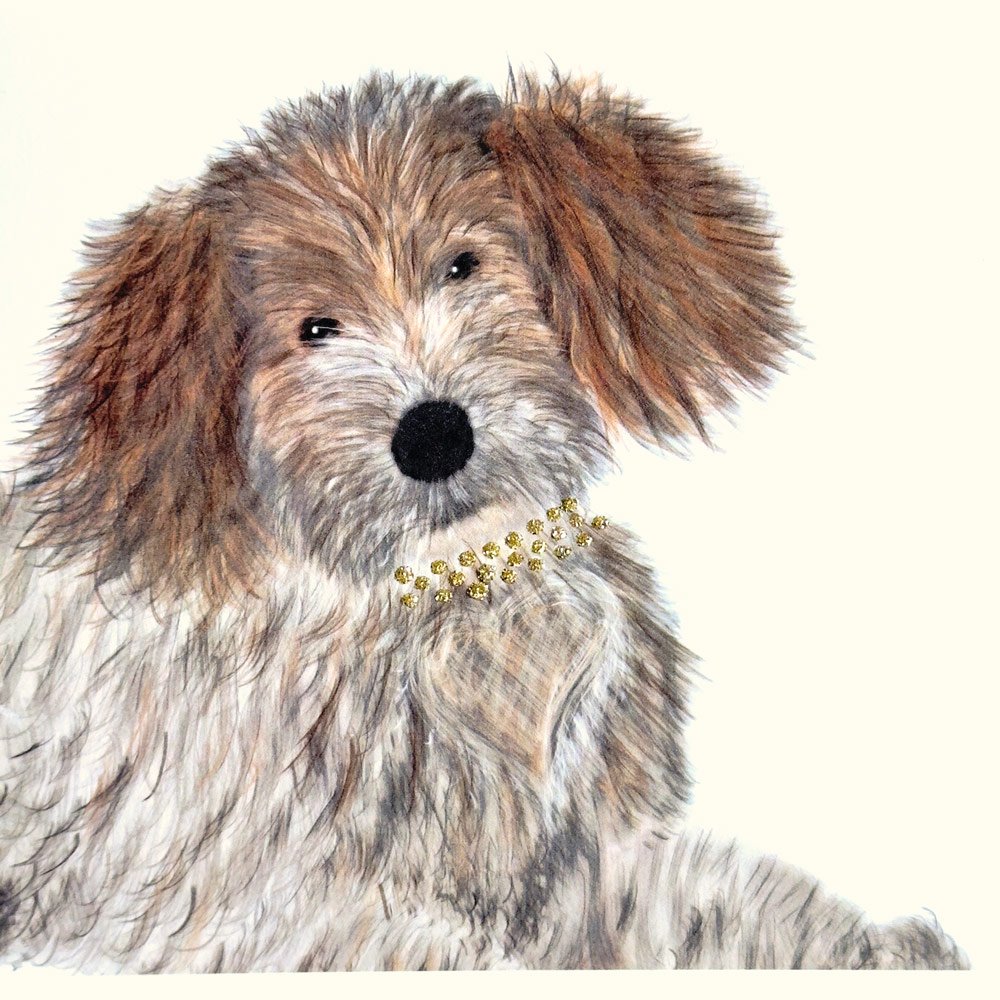 Poodle English Graphics