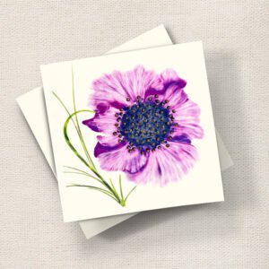Poppy (Purple)