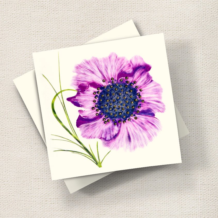 Poppy (Purple)