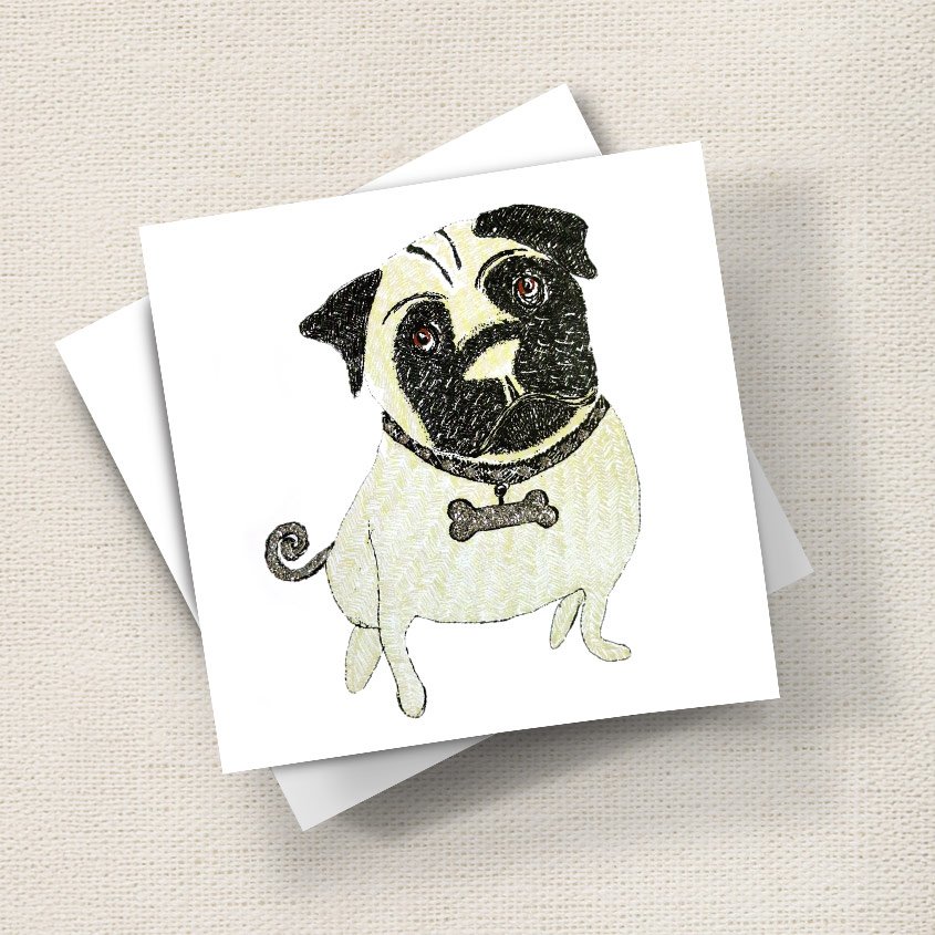 Pug
