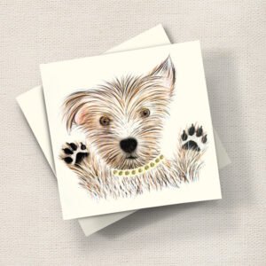 Scruffy Paws