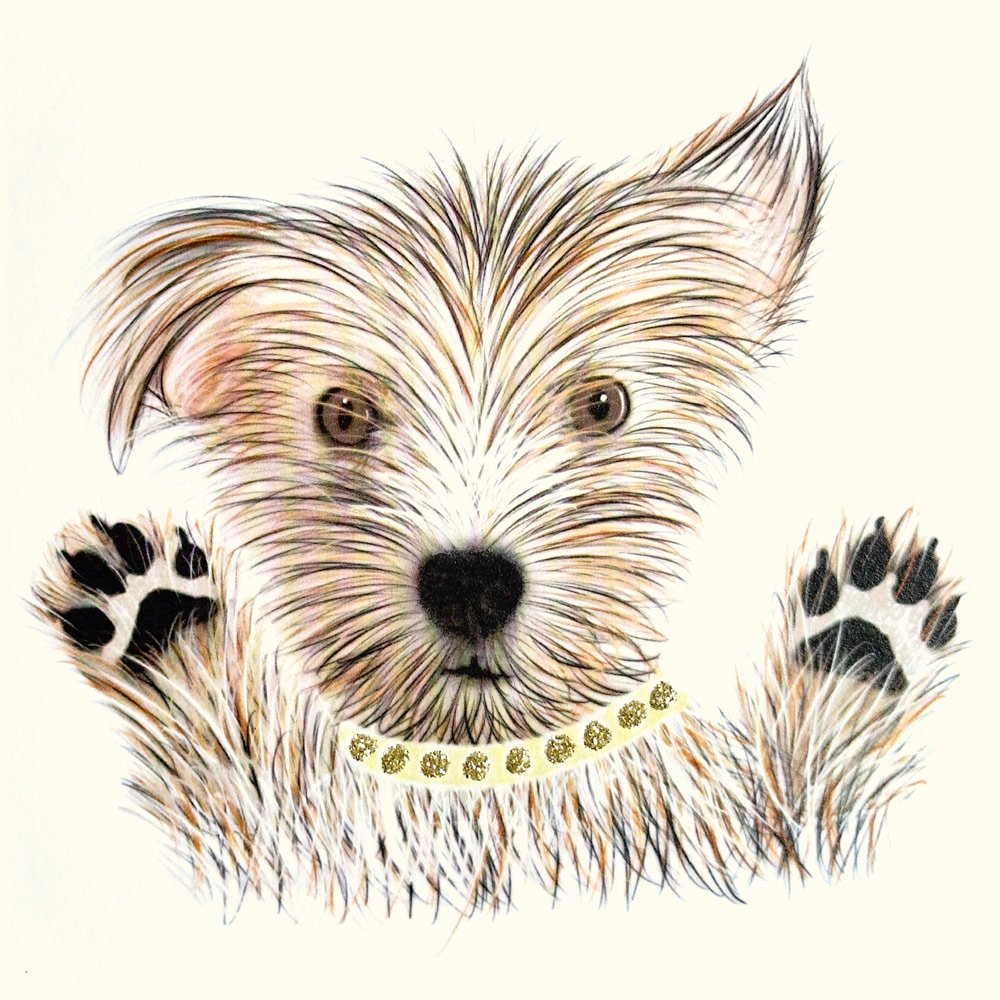 Scruffy Paws English Graphics