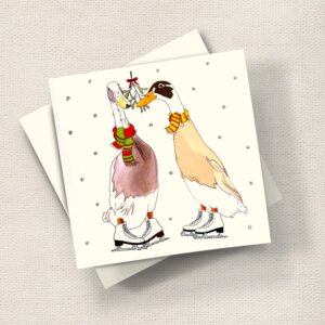 Skating Ducks