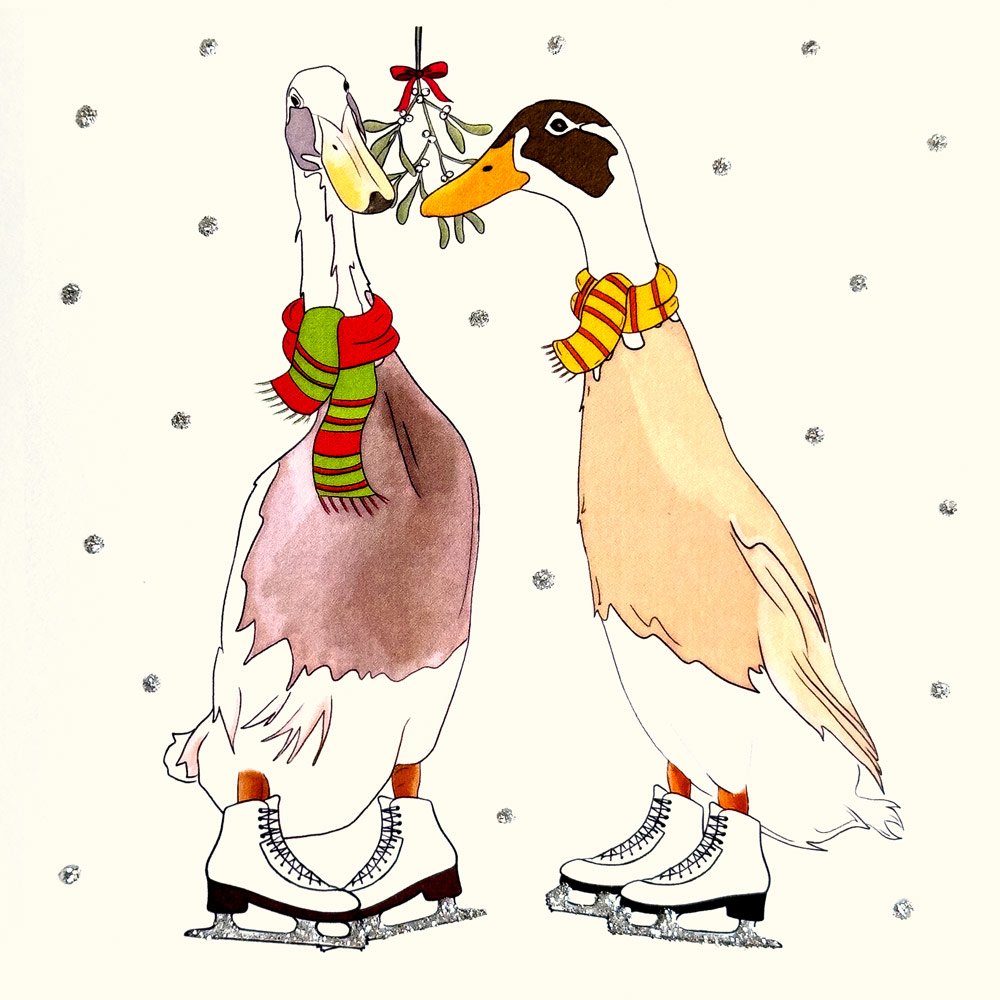 Skating Ducks English Graphics