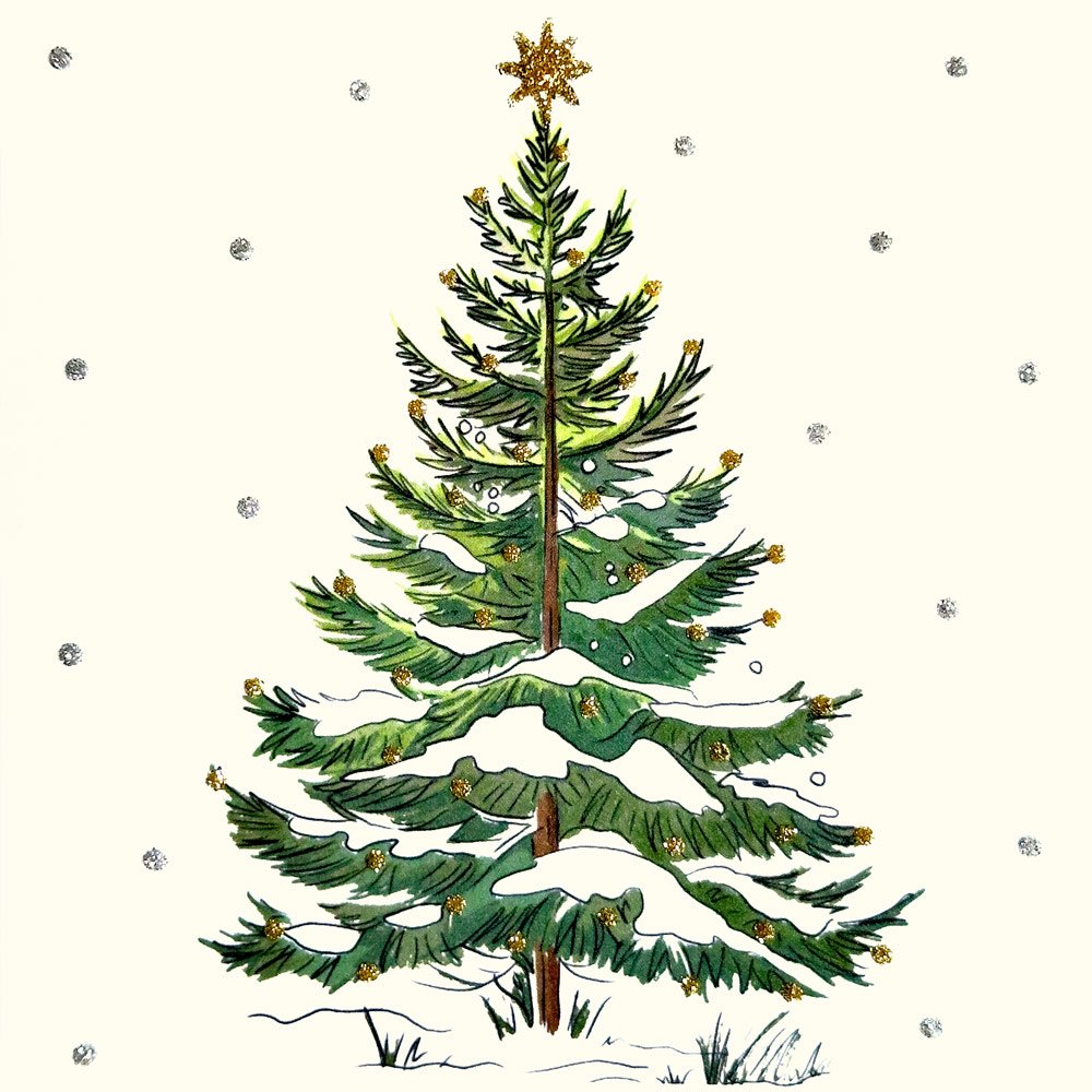 Spruce Christmas Tree English Graphics