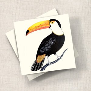 Toucan