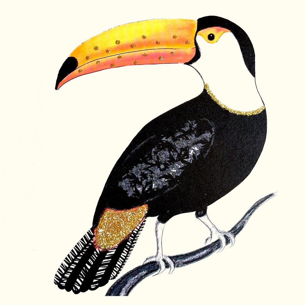Toucan English Graphics