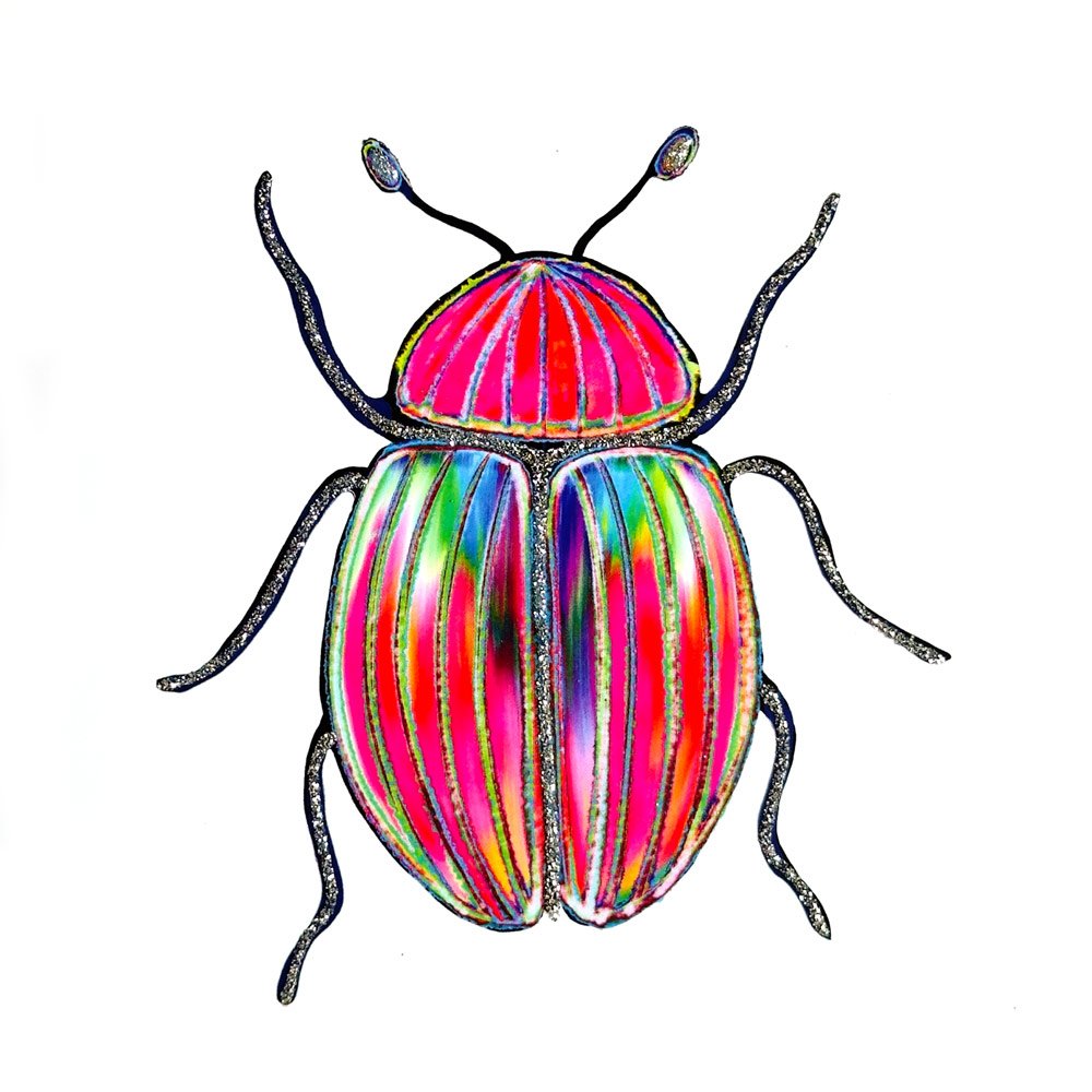 Tropical Bug English Graphics