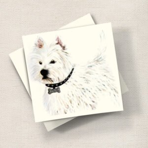 Westie
