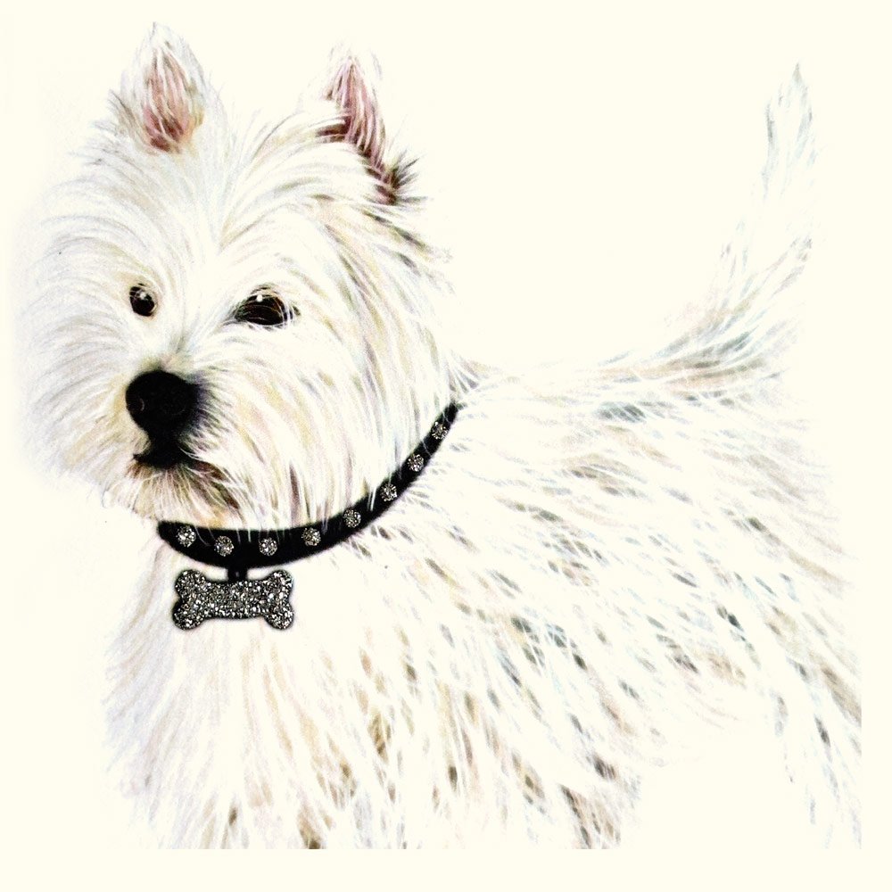 Westie English Graphics