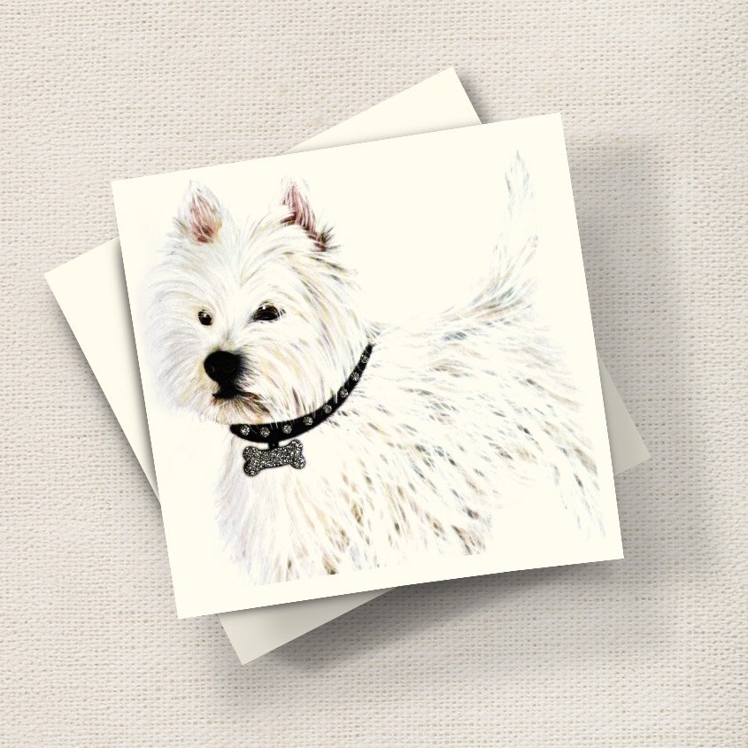 Westie