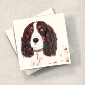 Willow Spaniel