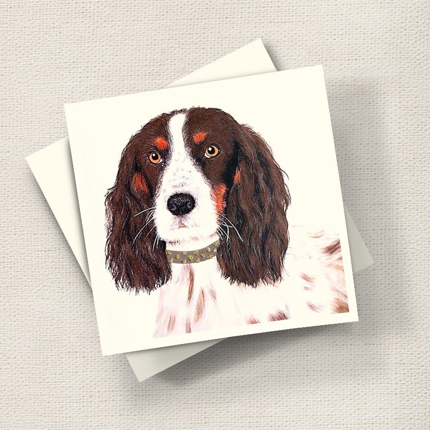Willow Spaniel