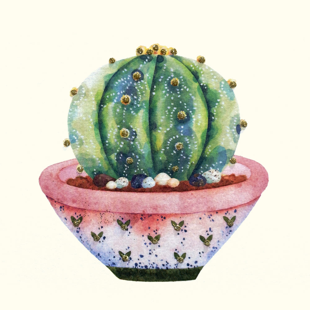 Cactus Ball English Graphics