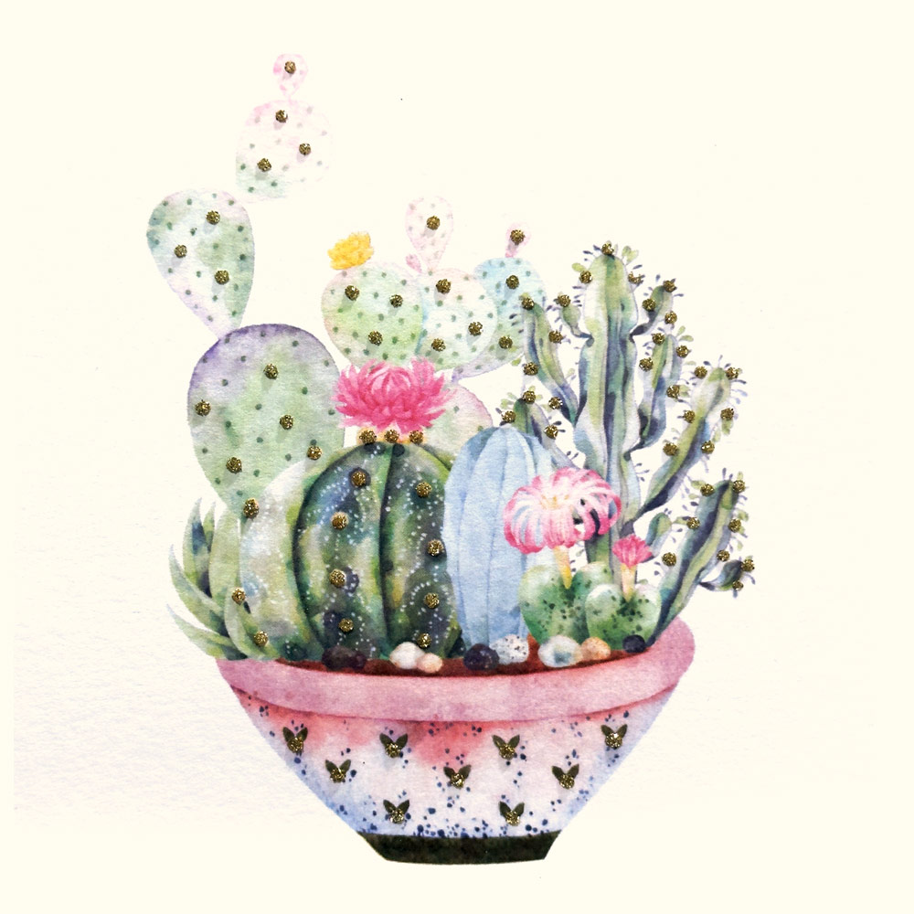Cactus Pot English Graphics
