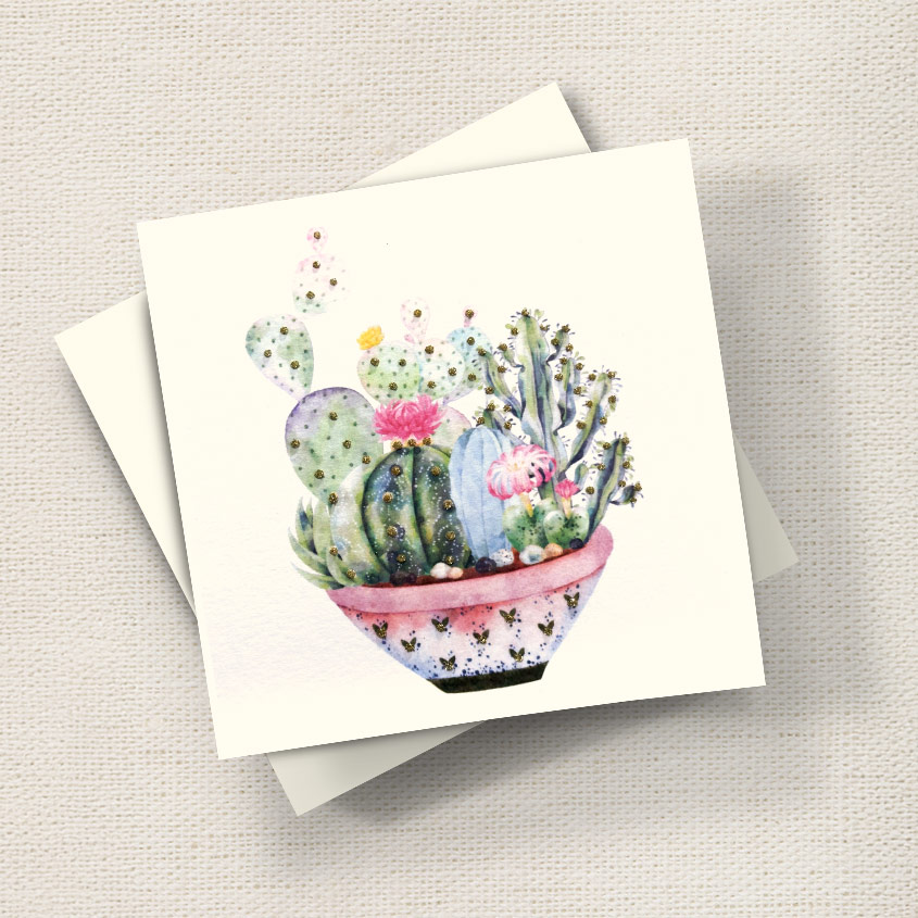 Cactus Pot