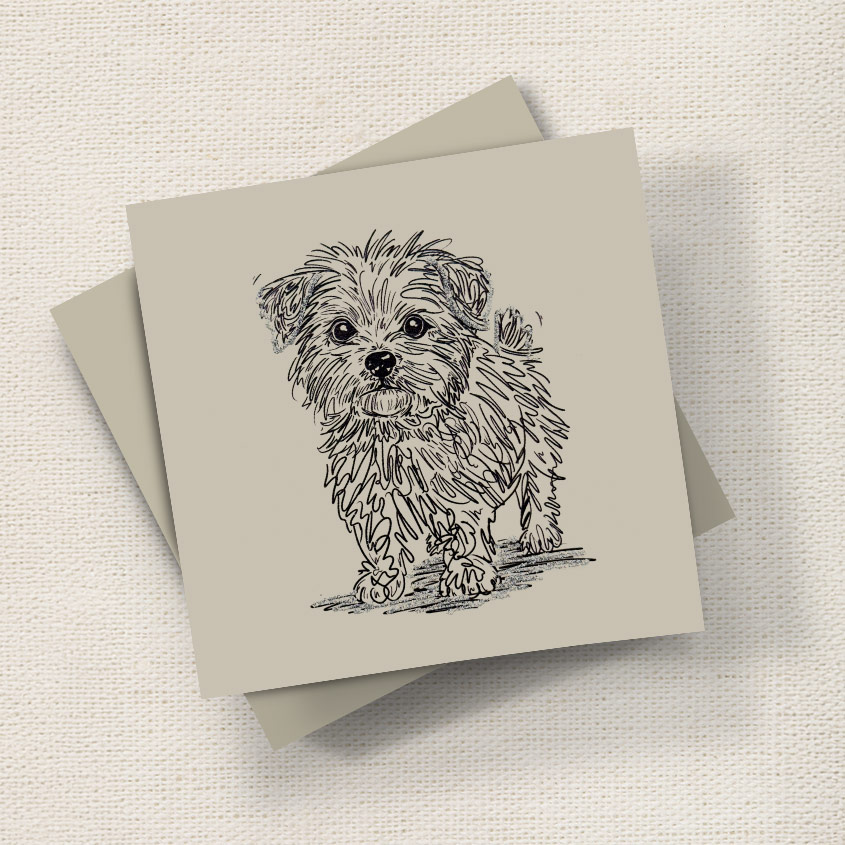Charley (Doodle)