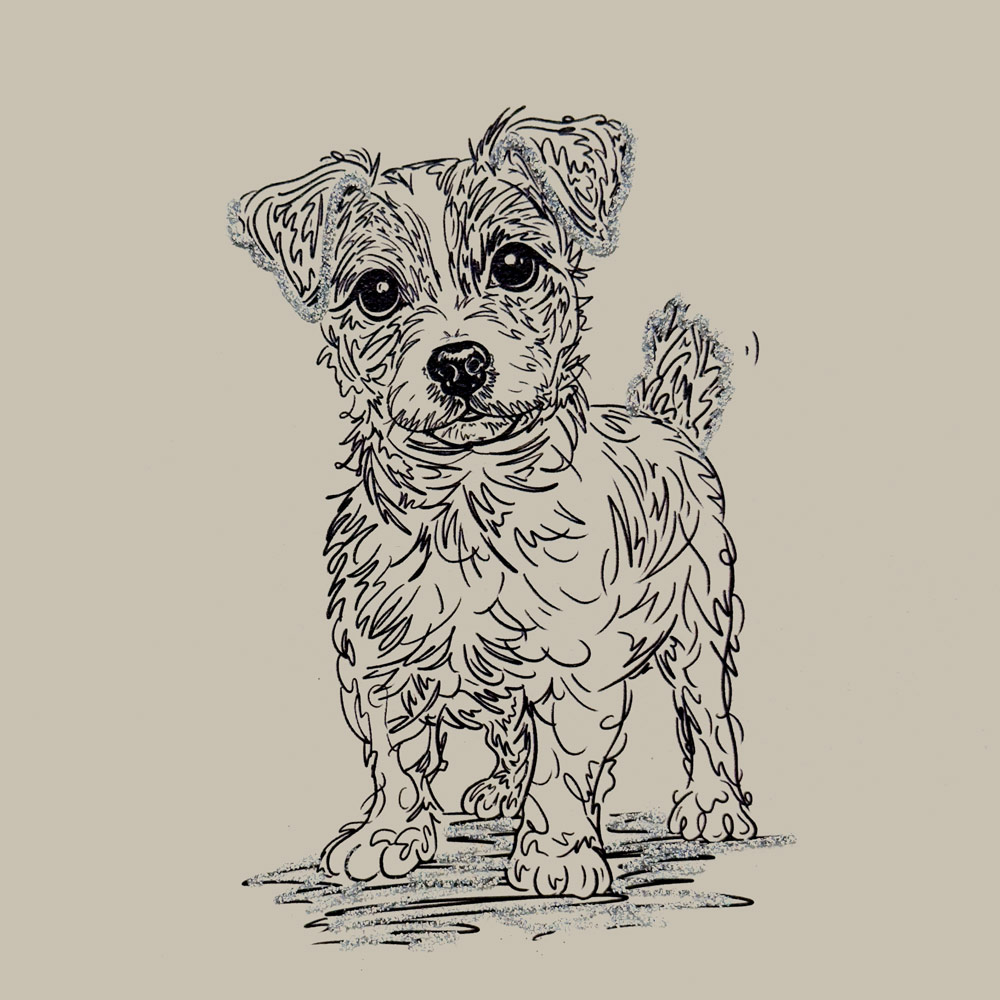 Jack (Doodle) English Graphics