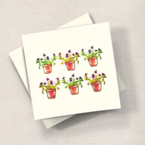 Pansy Pots