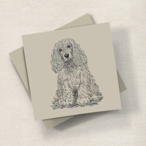 Spaniel (Doodle)