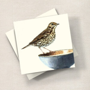 Thrush