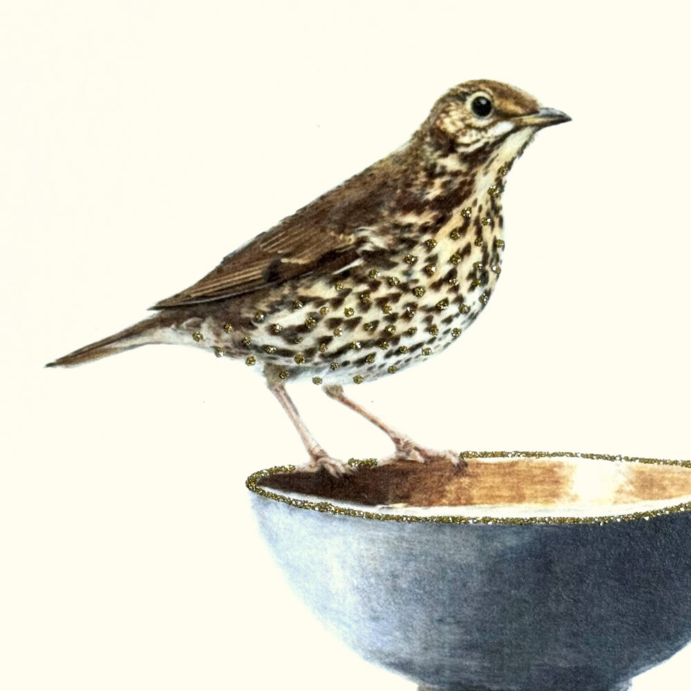Thrush English Graphics