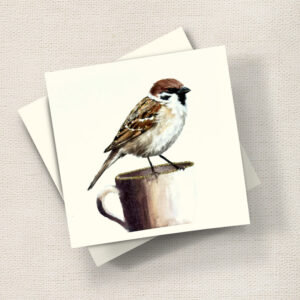 Sparrow
