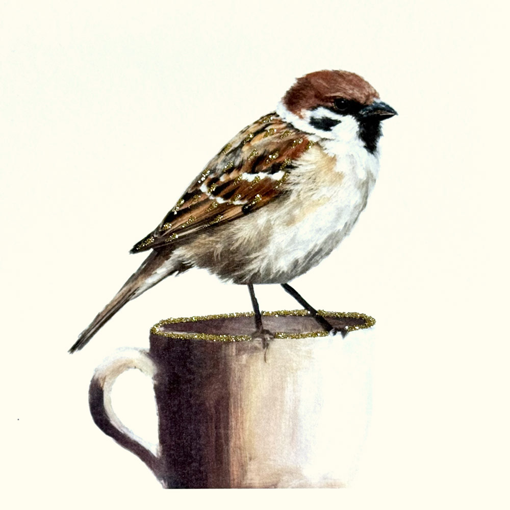Sparrow English Graphics