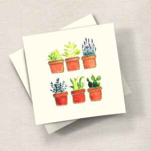 Plant Pots