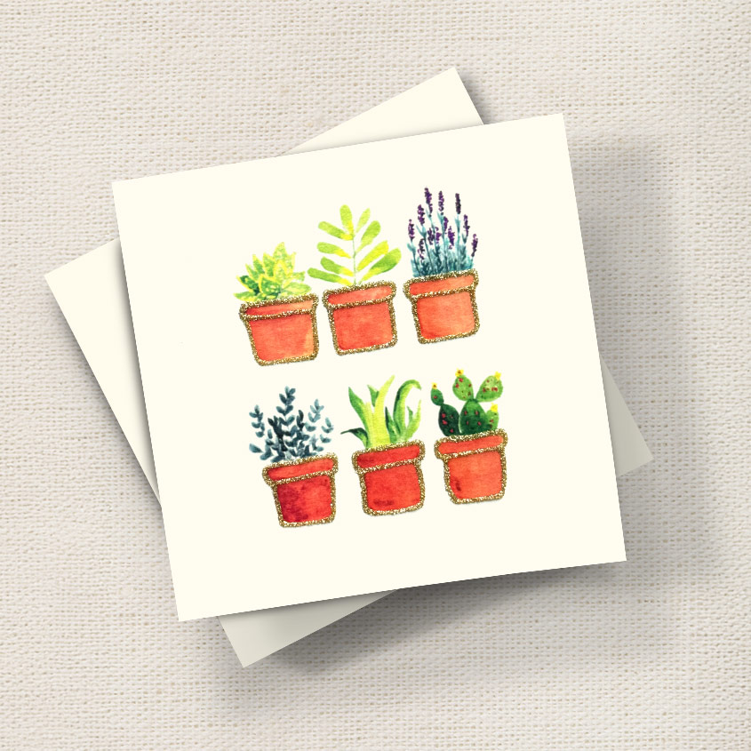 Plant Pots