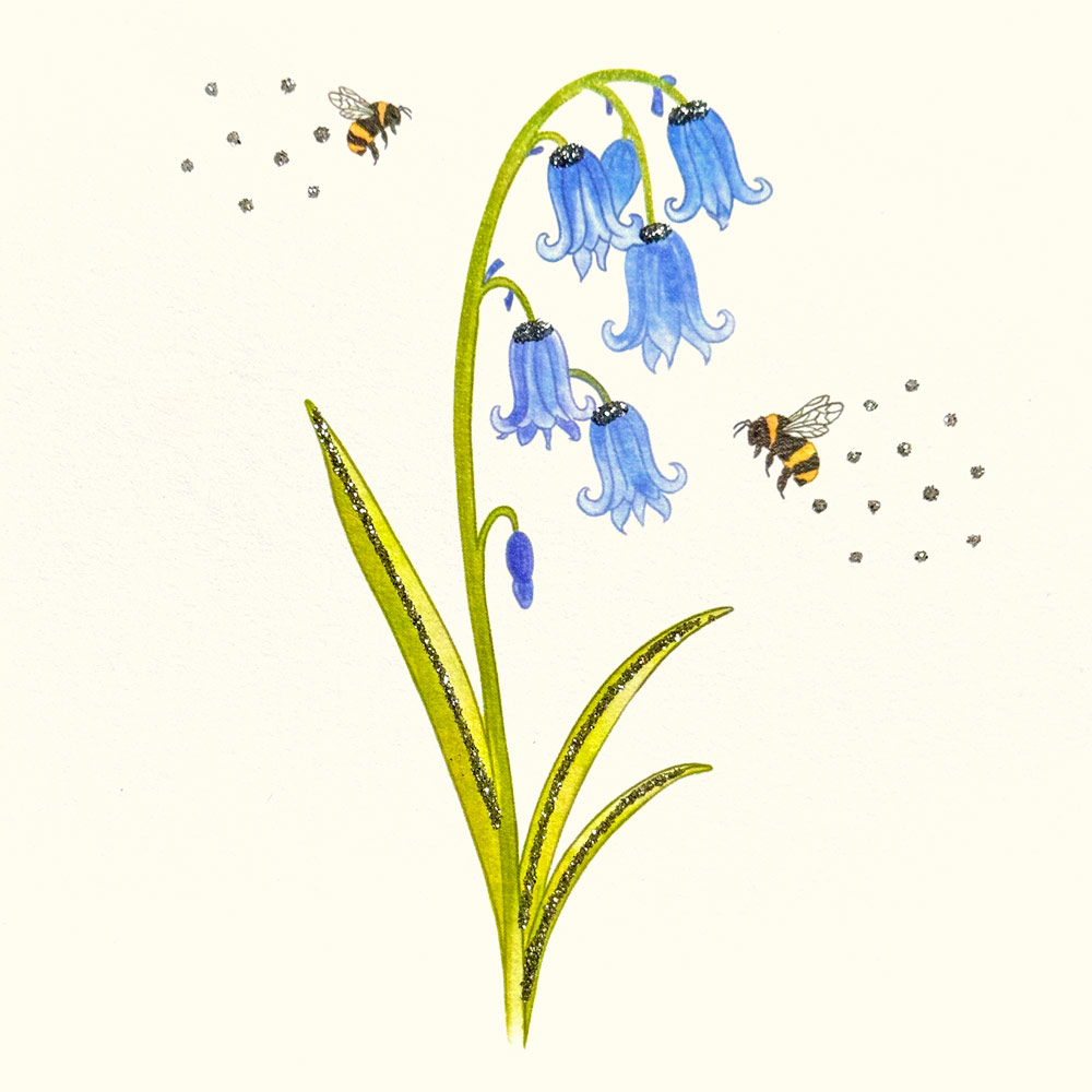 Bluebells English Graphics